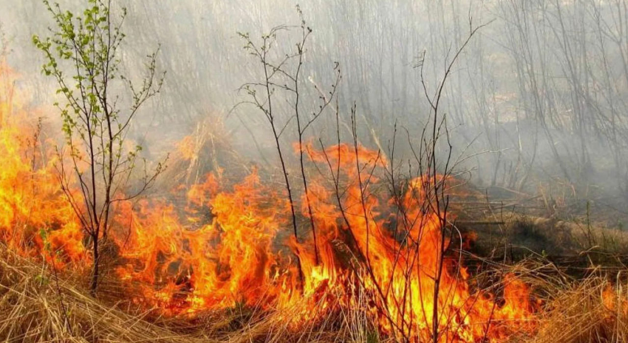 Cod Galben de pericol de incendii pe întreg teritoriul Republicii Moldova în următoarele 10 zile.