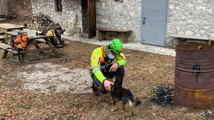 В горах Италии спасли раненого туриста: Собака помогла мне выжить.