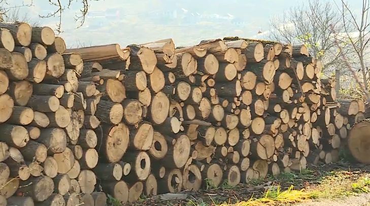 Жители Кишинева и пригородов о дровах: Пенсионеры не хотят брать гниль.