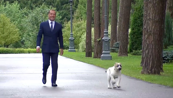 Медведев показал подаренного ему президентом Туркмении алабая.