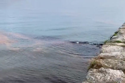 Туристы искупались в море аномального цвета и пострадали.
