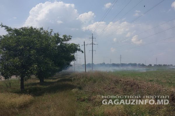 Вблизи объездной автодороги Комрата загорелась сухая трава.