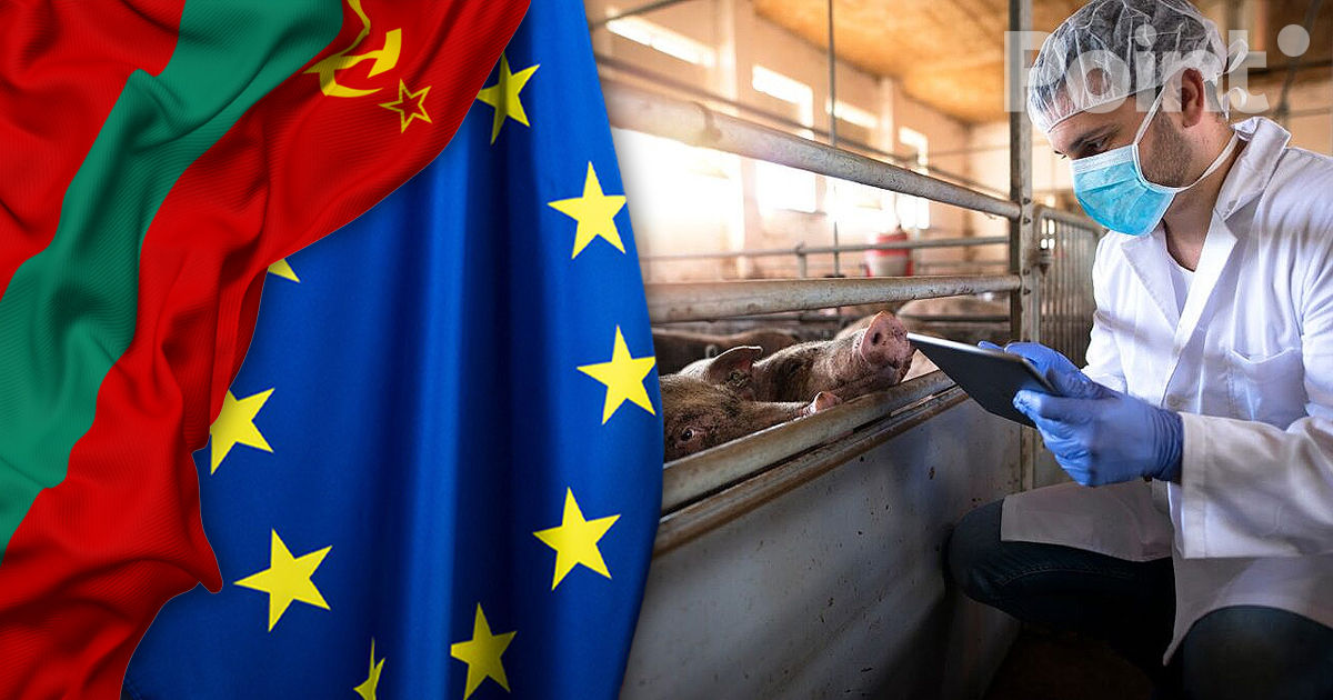 Chișinăul insistă asupra respectării standardelor veterinare UE în Transnistria.