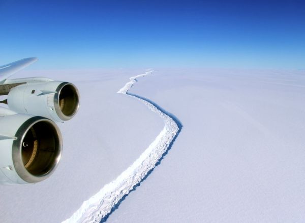 Expertii verifica si daca procesul a fost influentat de schimbarea climatica.