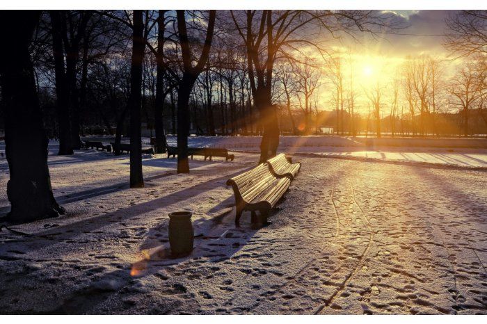 23 декабря на севере столбики термометров буду показывать 2-5 °C днем и минус 1 – плюс  2 °C ночью.