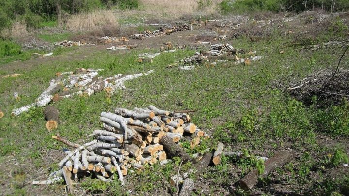 Причинённый ущерб достигает примерно 200 тысяч леев.