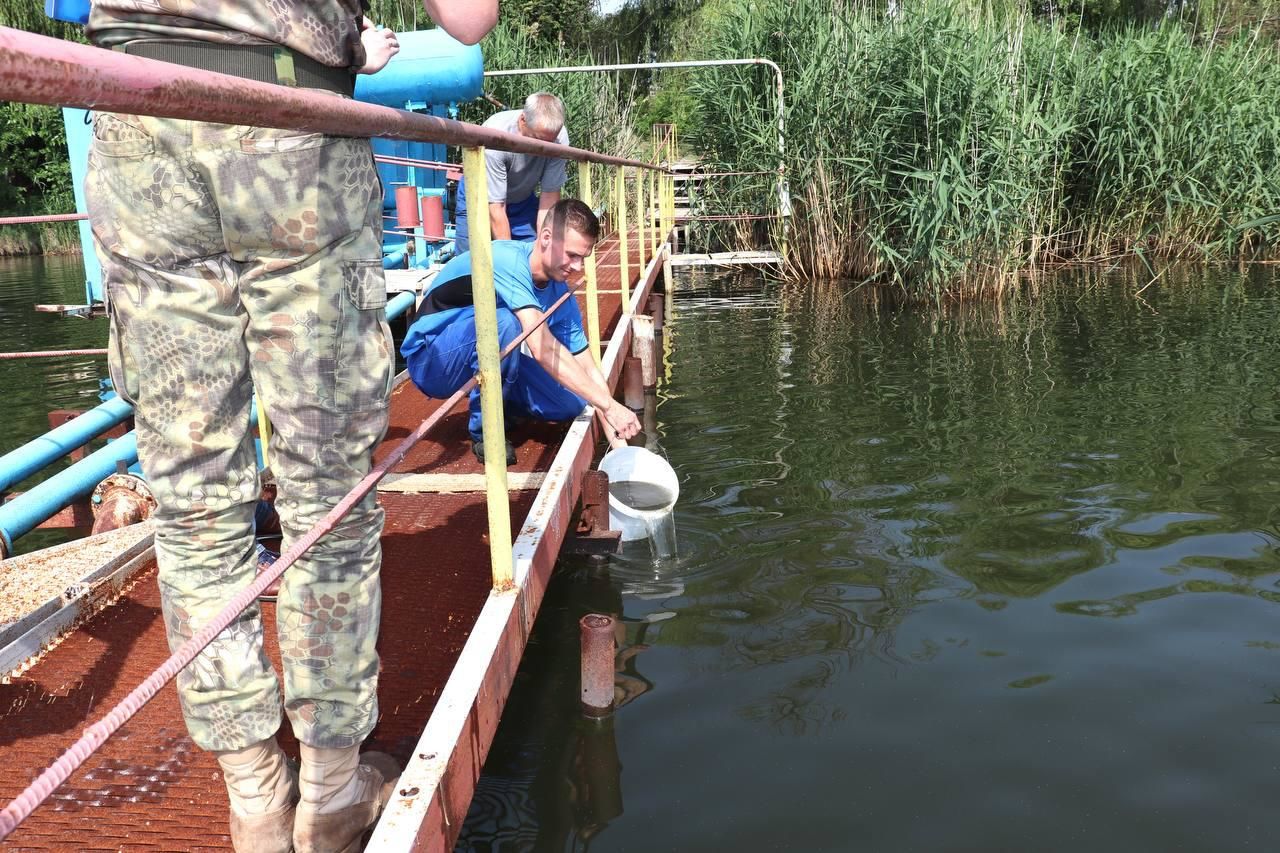 В Кучурганское водохранилище выпустили более 7,8 млн мальков разных видов рыб.