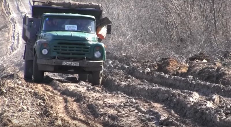 Zeci de câini morți au fost depistați la o gunoiește de la marginea orașului Cahul. 
