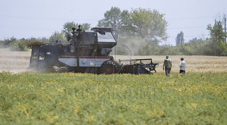 Politicile în agricultură vor fi revăzute. Foto: publika.md
