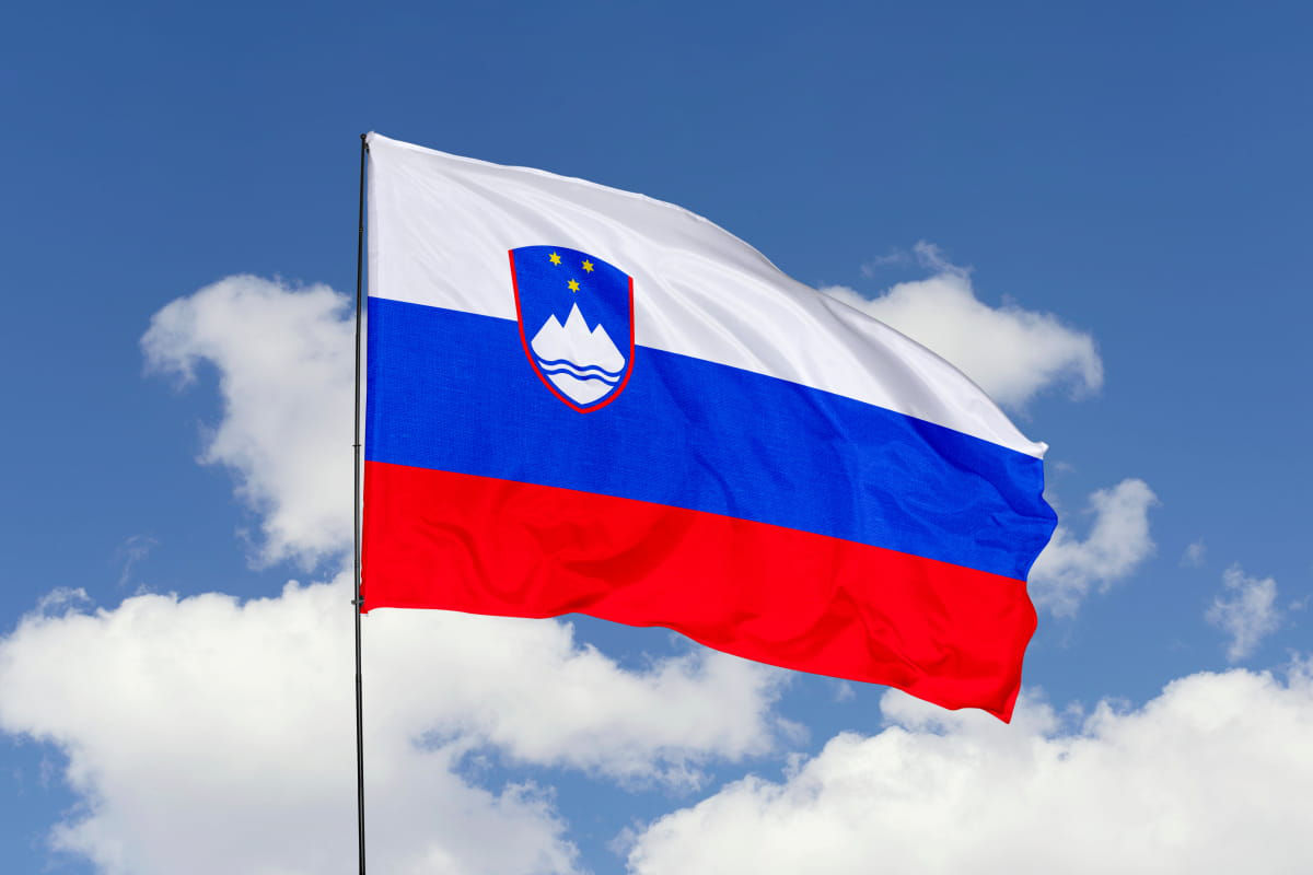 Вице-премьер Олег Серебрян встретился с послом Словении в Республике Молдова.