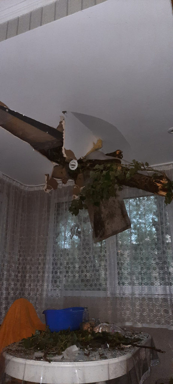 Сломанное ураганом дерево пробило крышу дома в Кишиневе.