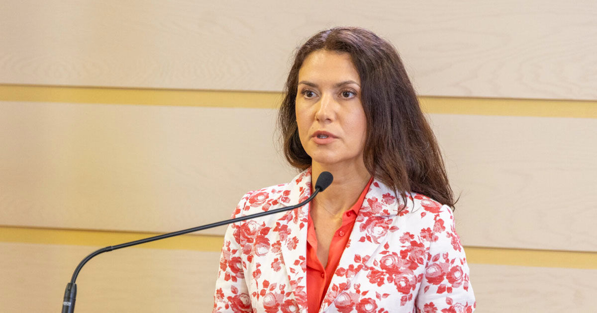 Olesea Stamate: Am reușit să blochez anumite inițiative legislative proaste.