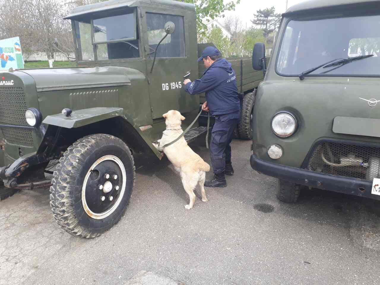 Cele mai bune echipe canine ale Poliției de Frontieră premiate în cadrul unui concurs intern. 