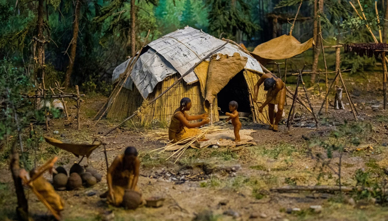 Oamenii de știință din SUA: Neanderthalienii includeau larvele în alimentația lor.