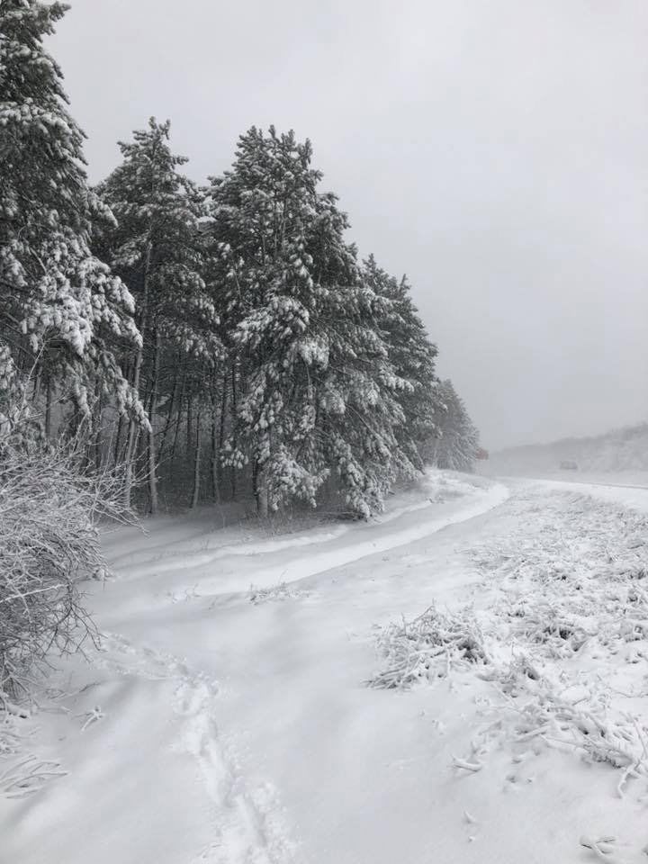 Meteo 19 ianuarie 2019: Frigul se menține. Câte grade vor fi