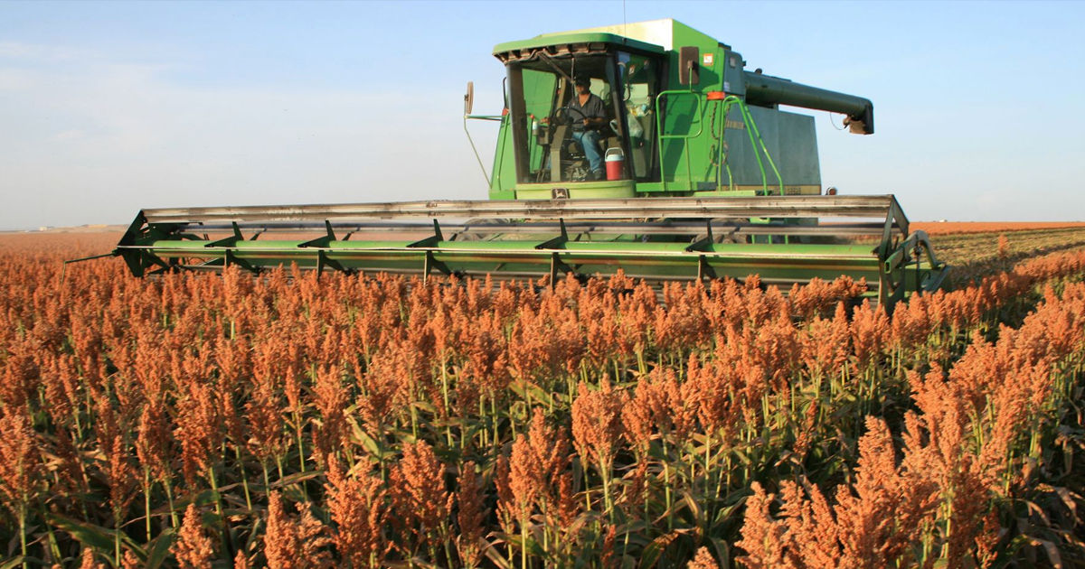 Perioada de rambursare a TVA-ului  pentru producătorii agricoli va fi prelungită până în decembrie.