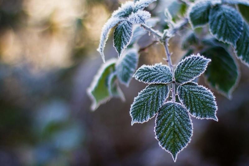 Avertizare meteo: Cod Galben de înghețuri în Republica Moldova.