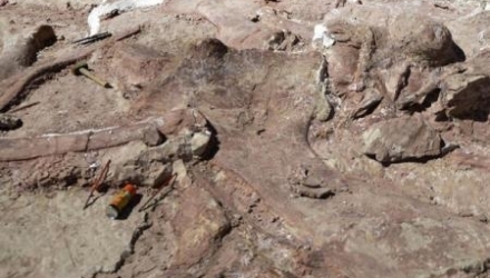 În Tanzania au fost descoperite mai multe rămășițe de oase ale unei noi specii de dinozauri ierbivori giganți, scrie agerpres.ro.