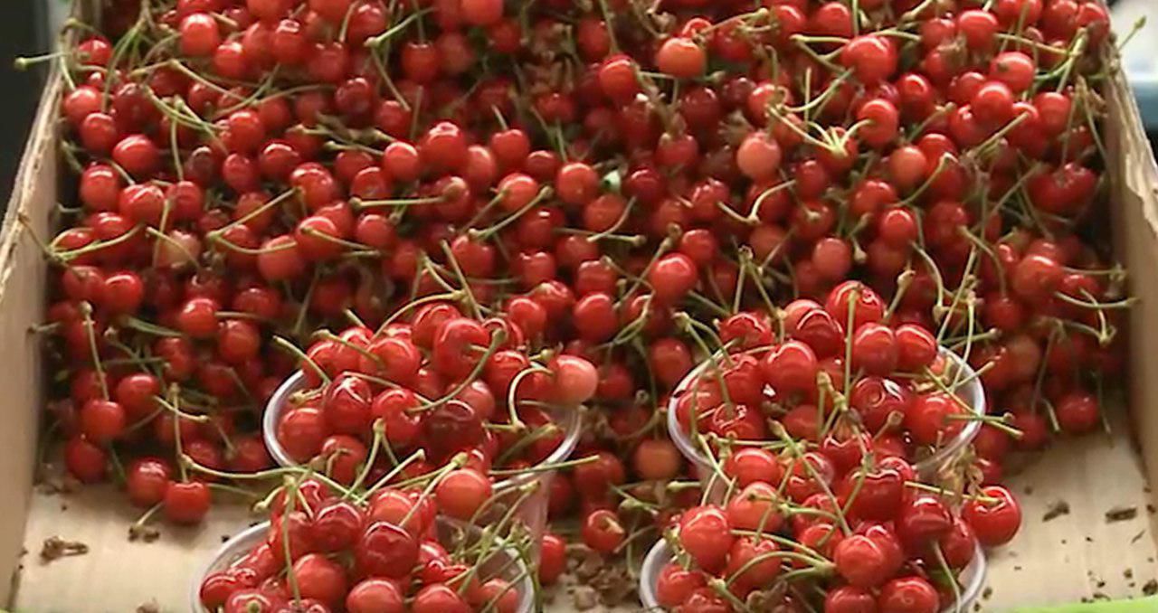 Покупатели признаются, ягоды еще недостаточно сладкие, но вкусные.