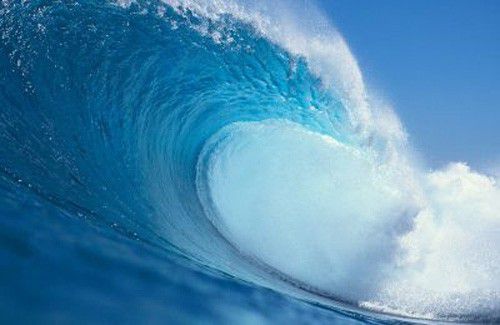 8 июня отмечается Всемирный день океанов (World Oceans Day).