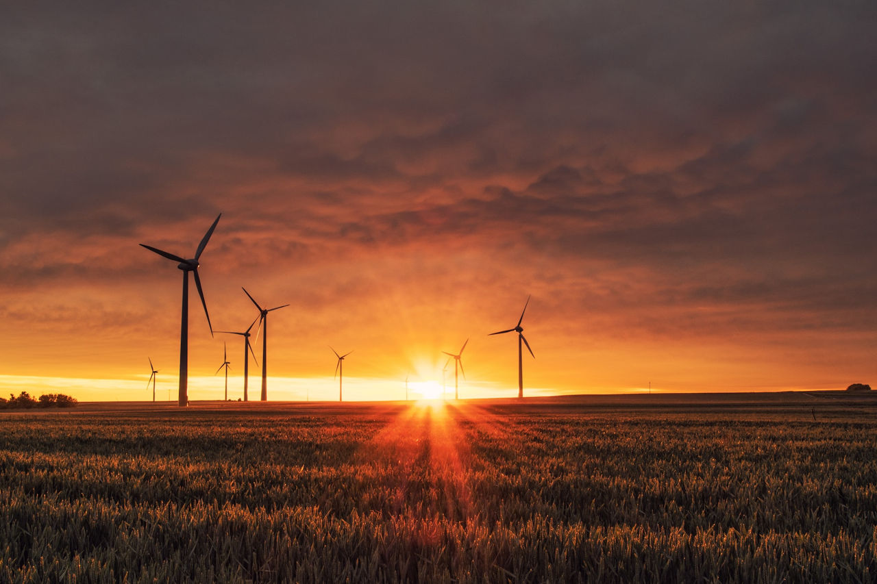 Premier Energy va construi un parc eolian la Ștefan Vodă.