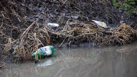 Apa din râul Bâc este o sursă de boli și de infecții.