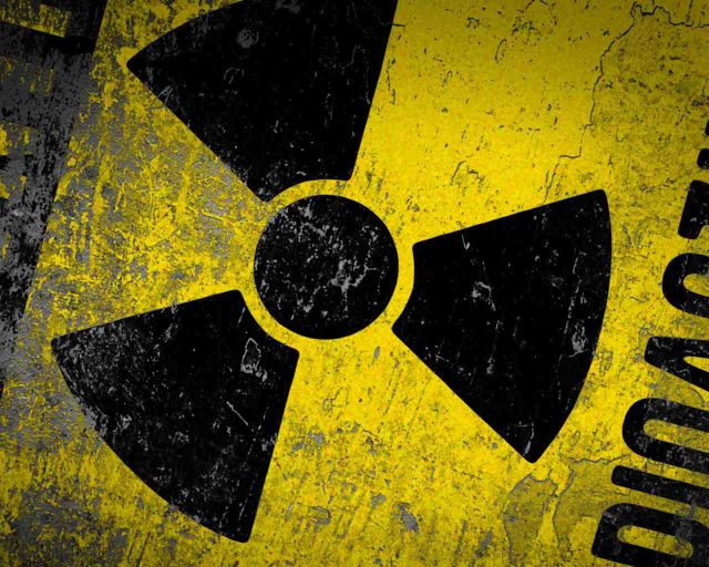 Радиоактивный предмет весом 55 кг обнаружен в рижском лесу. Фото: gazeta.ee