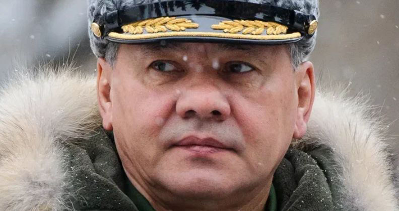 Шойгу заявил о проблемах в ходе частичной мобилизации.