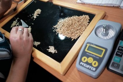 Назван спасающий от ожирения повседневный продукт.