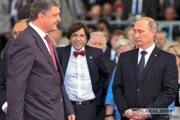 Порошенко поздравил Путина с Днем России.  Фото: pikabu.ru