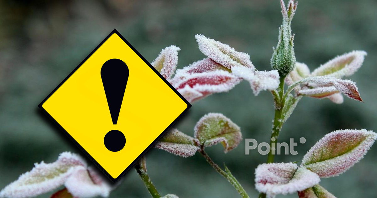 В Молдове продлили метеопредупреждение в связи с заморозками.