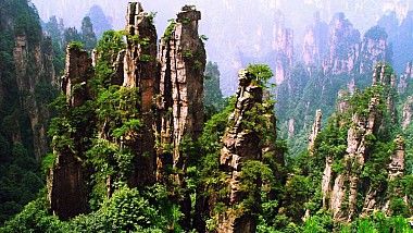Lecţie de ecologie: China se transformă într-o pădure