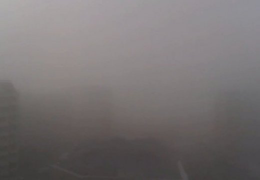 В настоящее время проводятся экспресс-тесты на содержание вредных веществ.