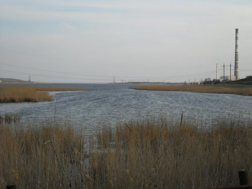 Кучурганское водохранилище. Фото: panoramio.com