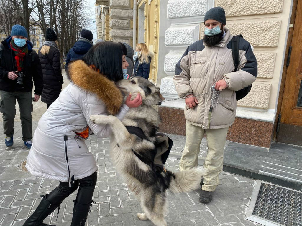 Зоозащитники требуют финансирования от примэрии.