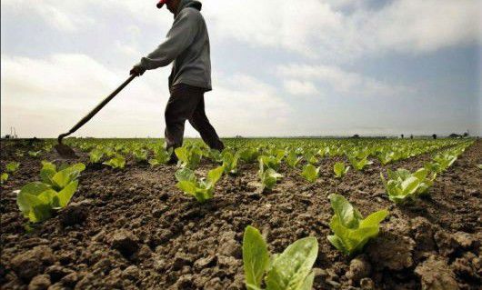 La întoarcerea din Federaţia Rusă, victimele s-au adresat organelor de drept, care au declanşat o cauză penală.