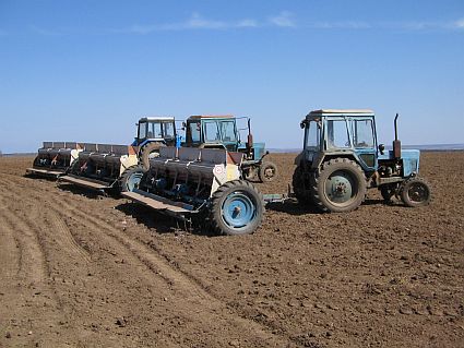 Работы ведутся не только на полях с зерновыми.
