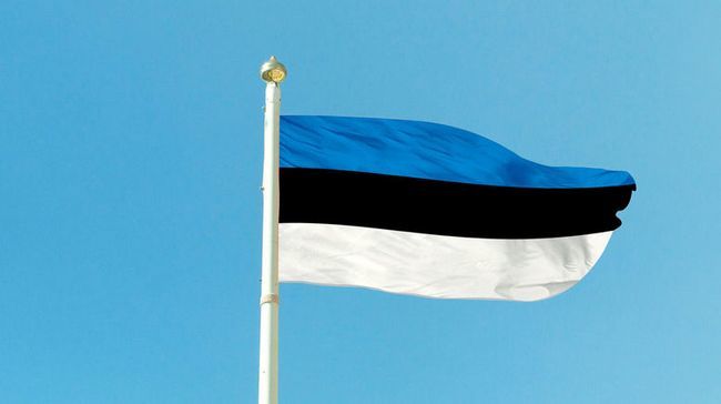 Глава МВД Эстонии хочет отменить безвизовый режим с Украиной.