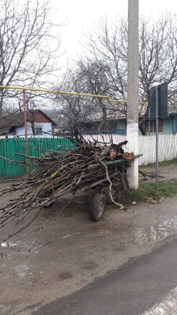 Телега, угодившая в аварию, не была зарегистрирована.