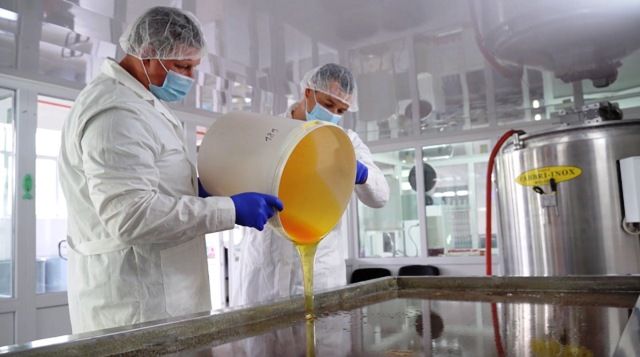 Ina Negruță, care exportă circa 600 de tone anual de miere în UE