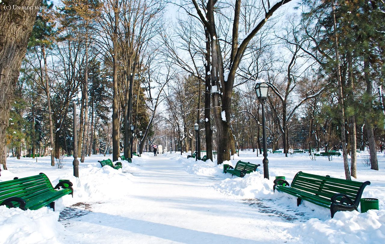 Primăvară-n mijlocul iernii. Ce temperaturi ne așteaptă