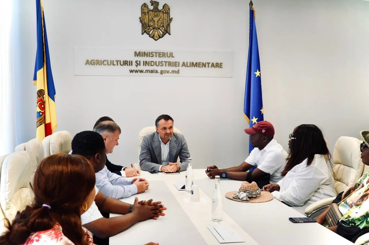 Nigeria, principala piață africană pentru vinurile moldovenești