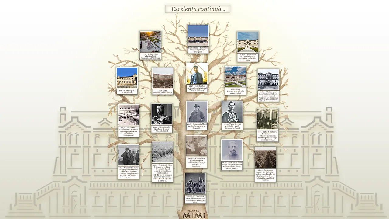 История единственного замка в Республике Молдова – Castel Mimi