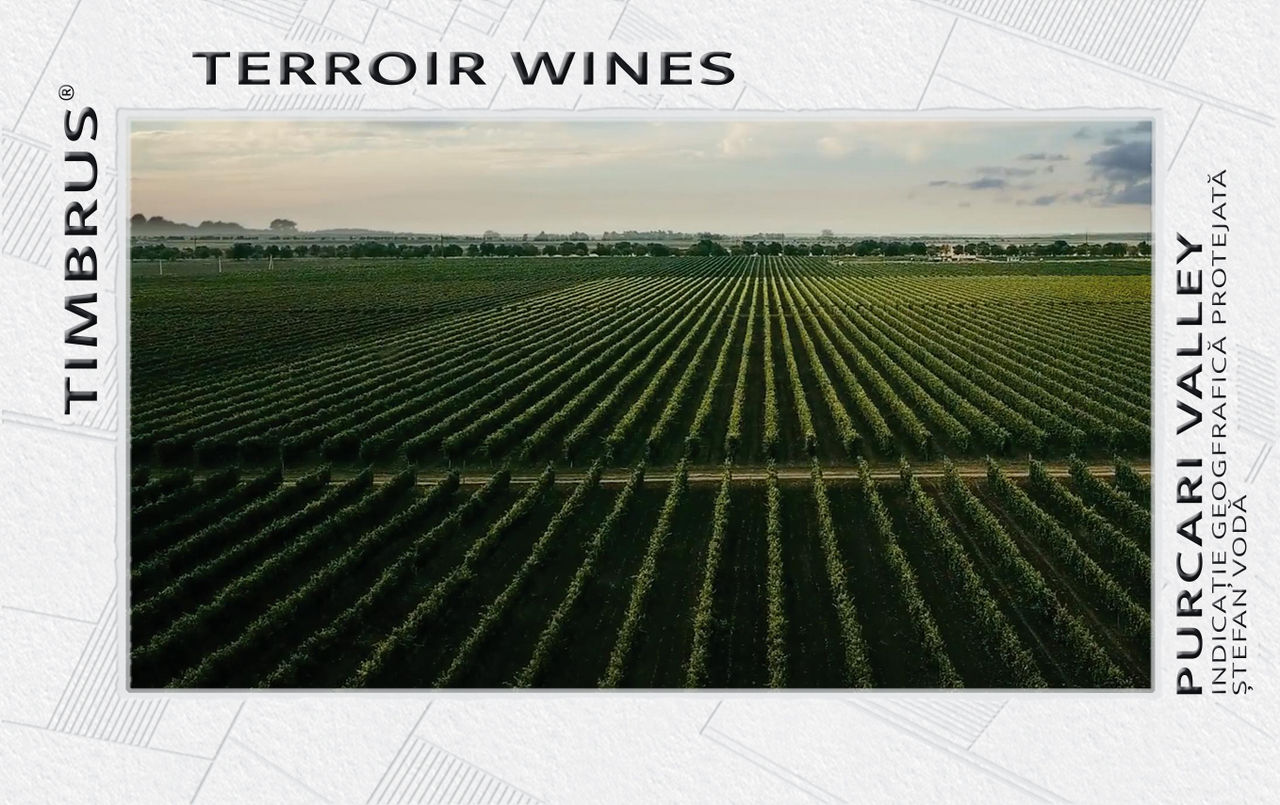 Timbrus Purcari Estate впервые в Молдове презентовала терруарные вина