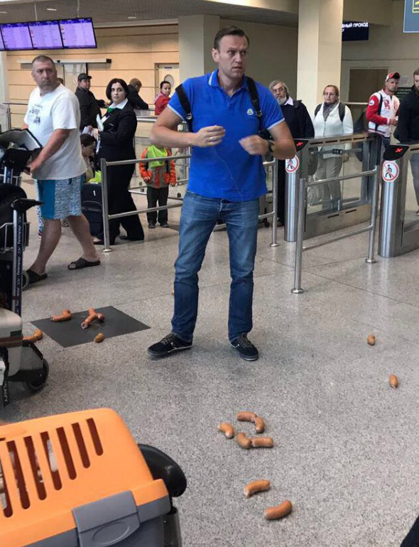 Навального закидали сардельками в аэропорту Домодедово