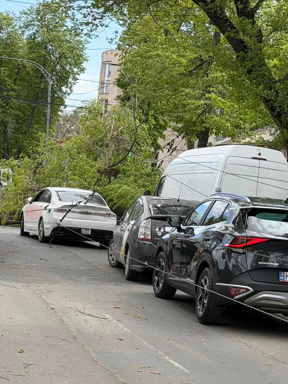 В центре Кишинёва сильный ветер повредил линии электропередачи: пострадали автомобили