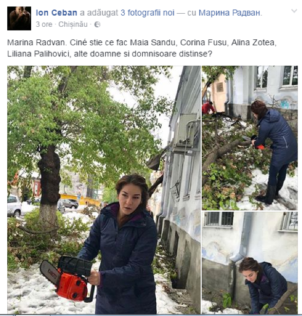 Deputata Marina Radvan, cu drujba la tăiat copacii prăbușiți din Capitală