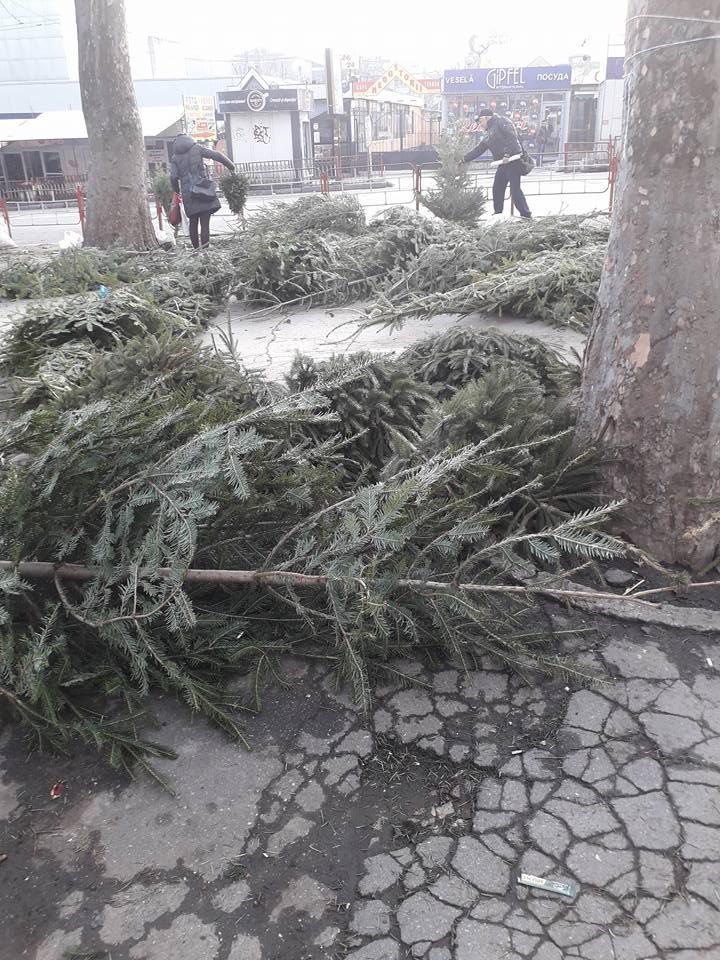 Zeci de brazi, aruncați în mijlocul drumului în sectorul Buiucani