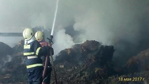 В Теленештах пожарные спасли 250 коров