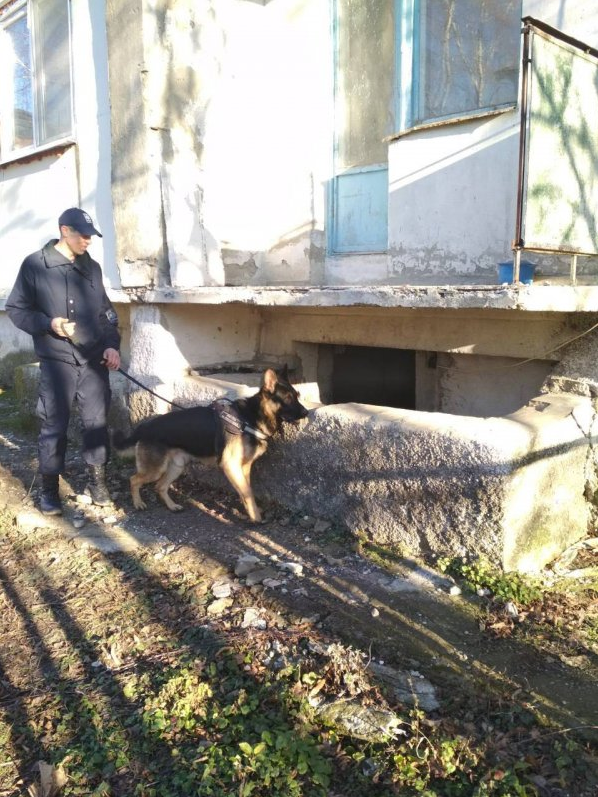 Четвероногий пограничник помог полиции Рышкан найти вора
